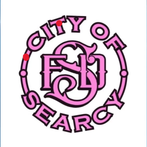 SFD LOGO Pink 300x300