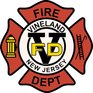 VFD LOGO COLOR 300x300